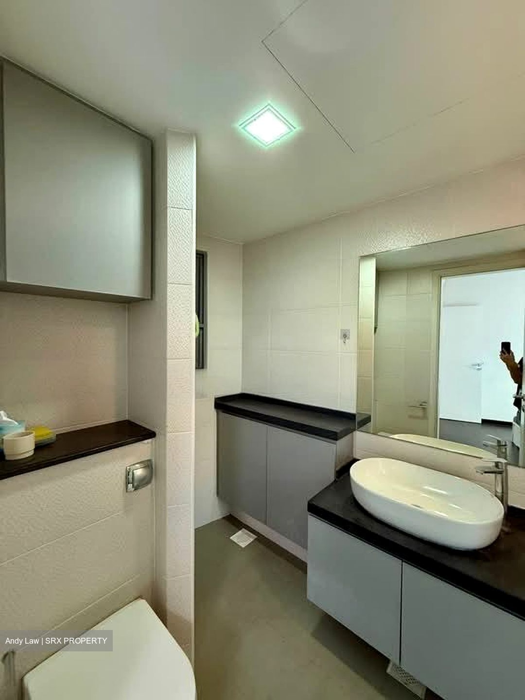The Belvedere (D15), Condominium #563720951